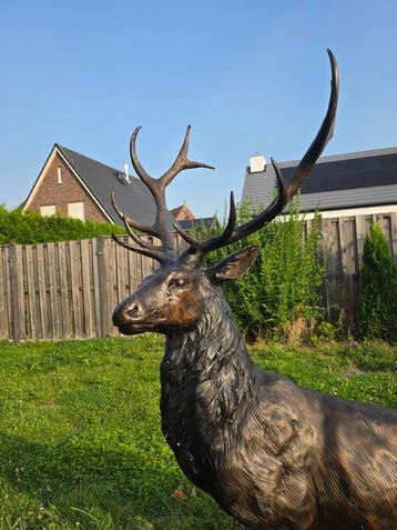 Beeld, Bronze: XL Deer - 171 cm - Brons - 2026, Antiek en Kunst