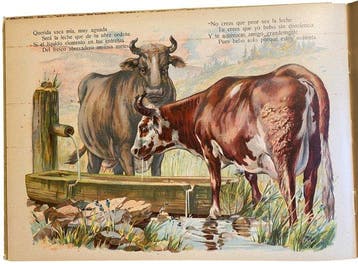 G Lowensohn - Animales Domesticos - 1895