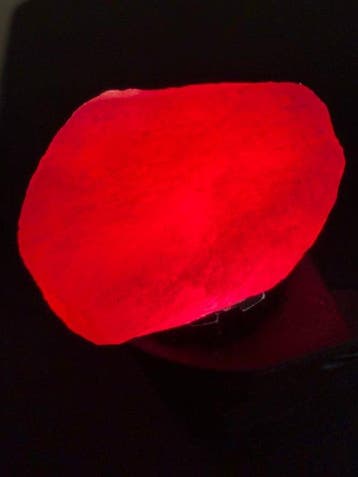 Rubis Éblouissant 59,50 ct. Rubis pigeon rouge du