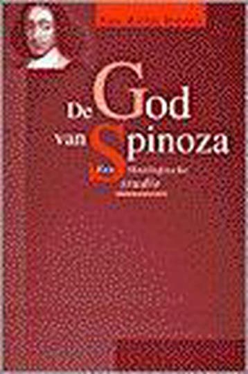 De god van Spinoza / Kamper studies 9789043500173, Verzenden, Gelezen, Rinse Reeling Brouwer