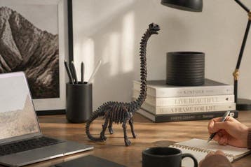 Ornement décoratif - Squelette de Brachiosaurus