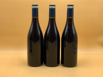 2023 Domaine Fontaine-Gagnard Morgeot Rouge -