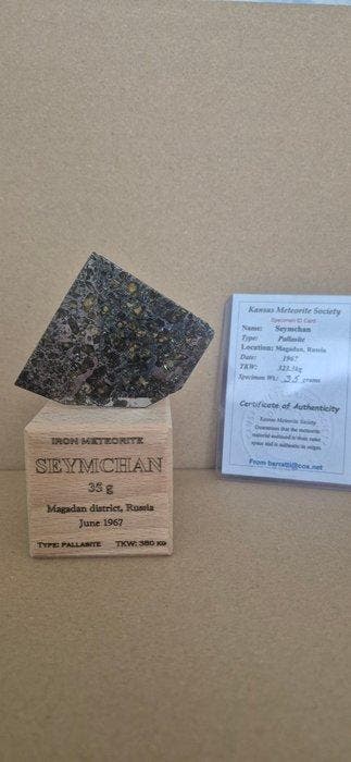 Météorite de Seymchan Pallasites - 35 g