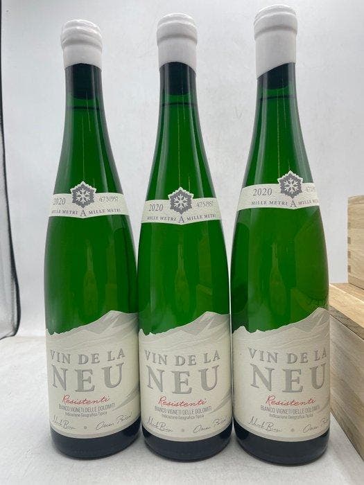 2020 Vin De La Neu Vigneti Delle Dolomiti, Resistenti -, Verzamelen, Wijnen