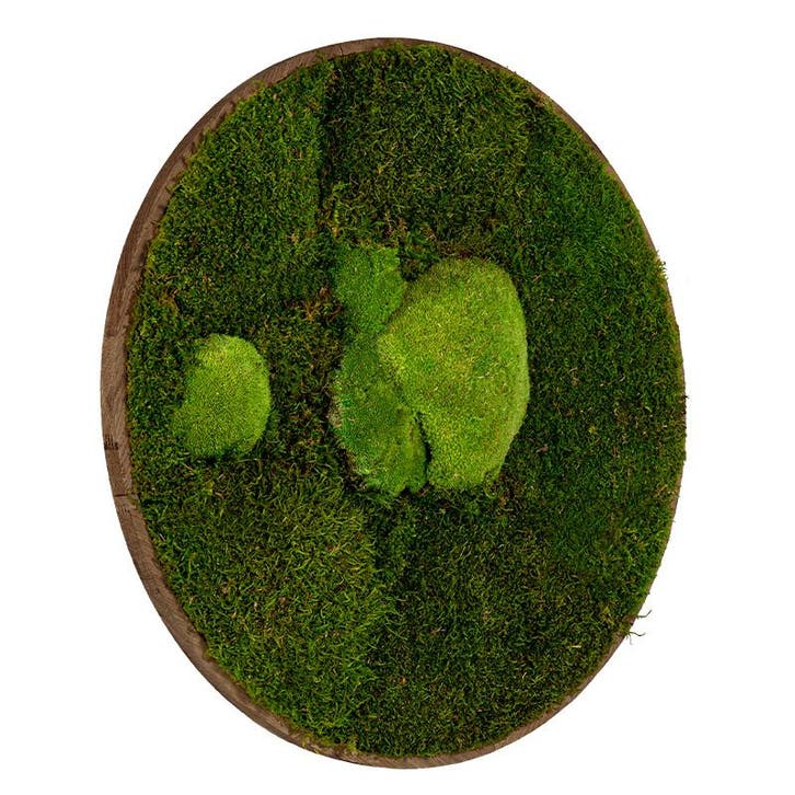 Mosschilderij Rond 120 cm Donker Eiken - Esbjerg, Huis en Inrichting, Woonaccessoires | Lijsten, Verzenden