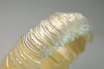 Natuurlijke parelmoeren schelp - 57 g - Armband, Verzamelen