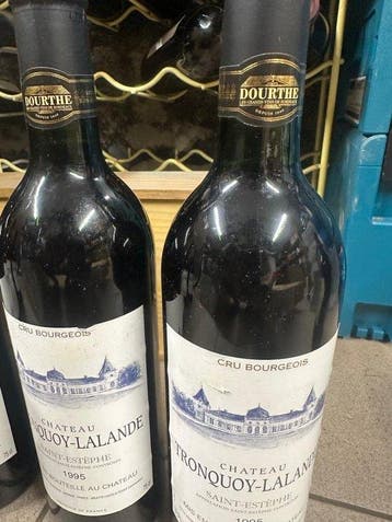 1995 Chateau Tronquoy-Lalande - Saint-Estèphe Cru Bourgeois, Verzamelen, Wijnen, Nieuw