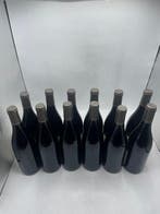 2023 Domaine Jean Monnier & Fils, Bourgogne Cote dOr Pinot, Nieuw