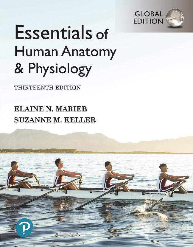 Essentials of Human Anatomy & Physiology, Global Edition, Boeken, Taal | Engels, Gelezen, Verzenden