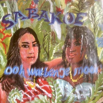 Sabakoe – Ooh.. Wat Ben Je Mooi! CD, CD & DVD, CD | Néerlandophone, Verzenden, Folk