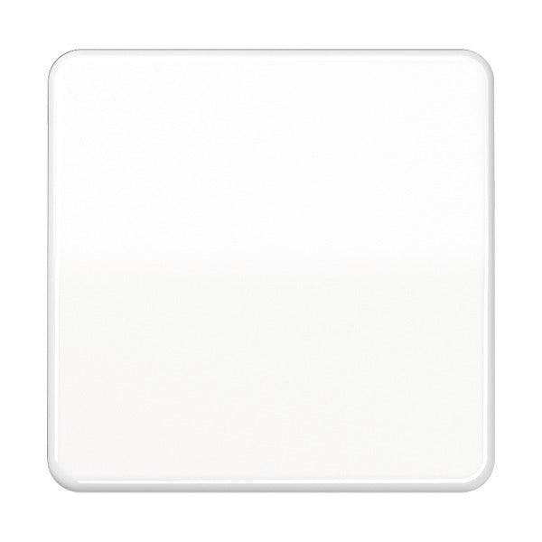 Jung CD500 Schakelelement/Centrale Plaat - CD590BFWW, Doe-het-zelf en Bouw, Elektriciteit en Kabels, Verzenden