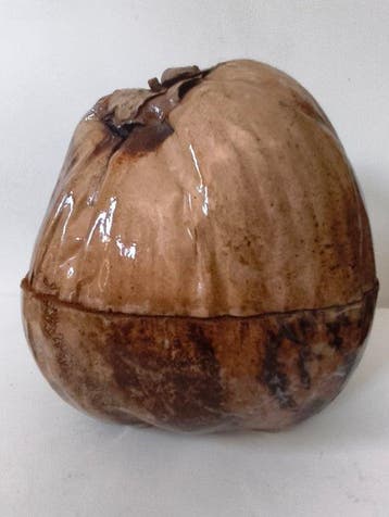Seau à glace - Noix de coco - Seau à glaçons vintage en noix