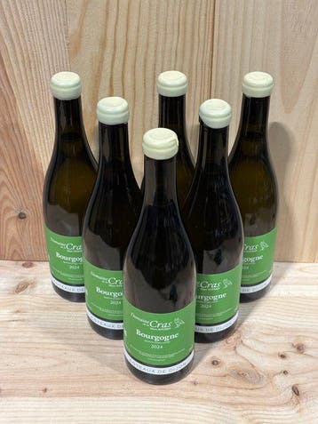 2024 Marc Soyard - Coteaux de Dijon - 6 Flessen (0.75 liter)