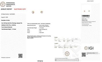Zonder minimumprijs - Oorbellen - 18 karaat Roségoud -