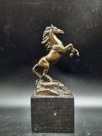 sculptuur, Horse Bronze, Marble - 22 cm - 22 cm -, Antiquités & Art