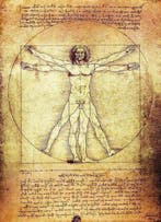 After Leonardo da Vinci - Beeld, The Vitruvian Man - 27 cm