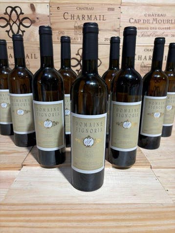 2018 Domaine Signoria de Brizi - Corse, Calvi - 12