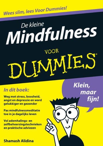 De kleine Mindfulness voor dummies / Voor Dummies, Verzenden, Shamash Alidina