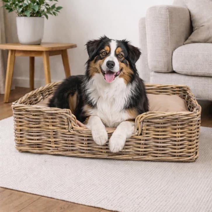 Hondenmand met kussen - 68 x 50 x 20 cm, Dieren en Toebehoren, Honden-accessoires, Nieuw, Verzenden