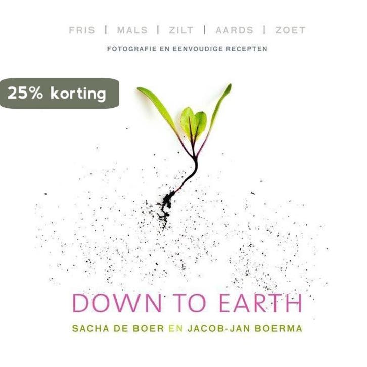 Down to Earth 9789000350568 Sacha de Boer, Livres, Science, Envoi