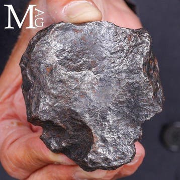Campo del Cielo meteorite Kern van een asteroïde - Hoogte:, Collections
