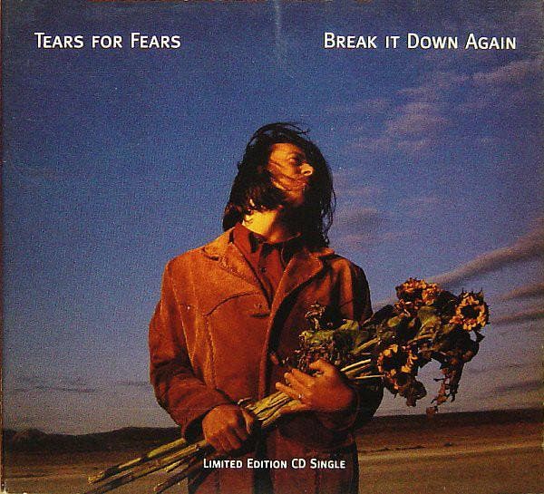 Tears For Fears - Break It Down Again, Cd's en Dvd's, Cd's | Pop, Gebruikt, Verzenden