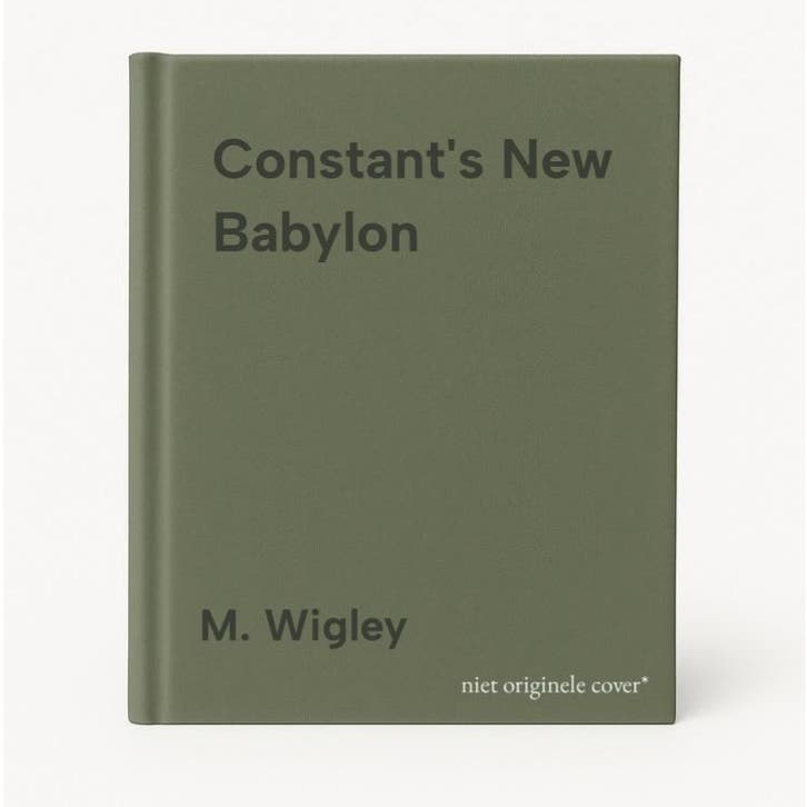Constants New Babylon 9789064503436 M. Wigley, Livres, Langue | Anglais, Envoi