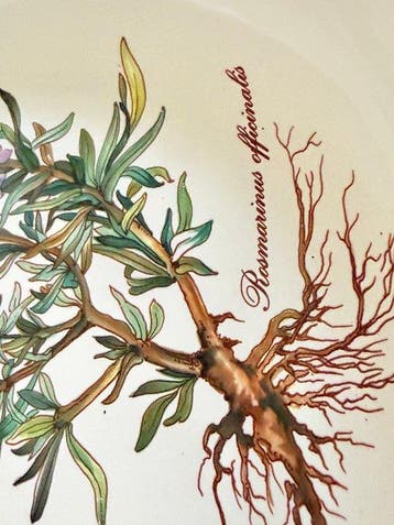Villeroy & Boch - Plat (2) - Botanica - Porcelaine - Bols de, Antiquités & Art