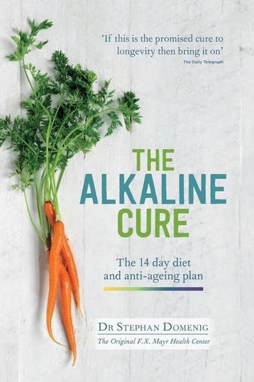 The Alkaline Cure - Stephan Domenig - 9781906761509 - Hardco, Verzenden, Nieuw