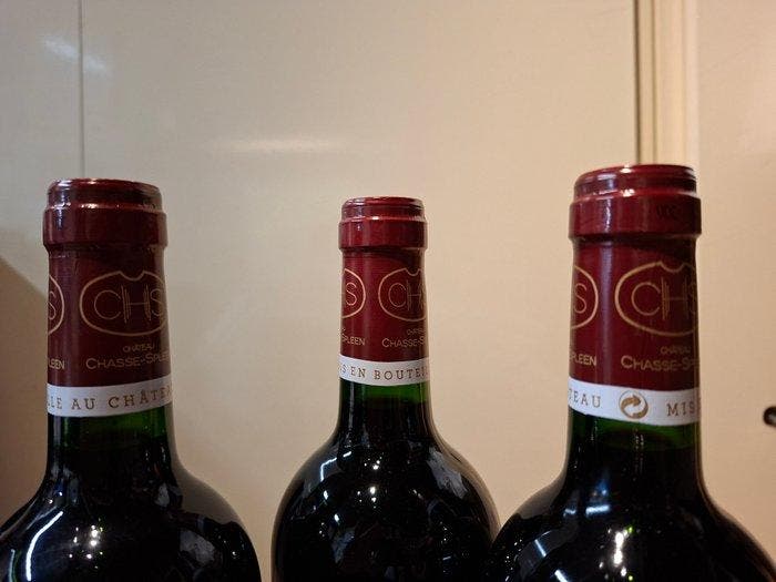 2016 Château Chasse-Spleen - Moulis en Médoc - 3 Flessen, Collections, Vins