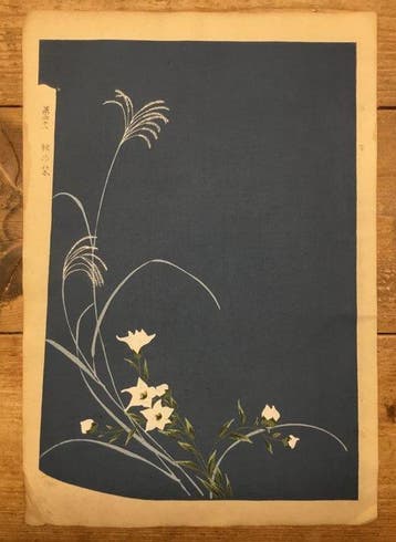 Kimono design van witte lelies en susuki gras - Artiste