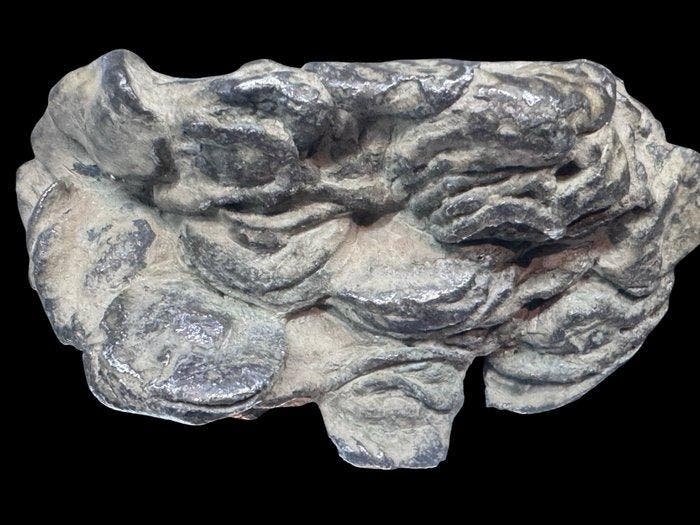 Oud-Romeins Zilver Munten smolten tijdens een huisbrand., Collections, Minéraux & Fossiles