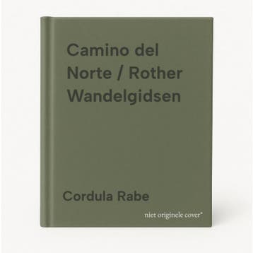 Camino del Norte / Rother Wandelgidsen 9789038929200, Boeken, Reisgidsen, Verzenden, Gelezen, Cordula Rabe