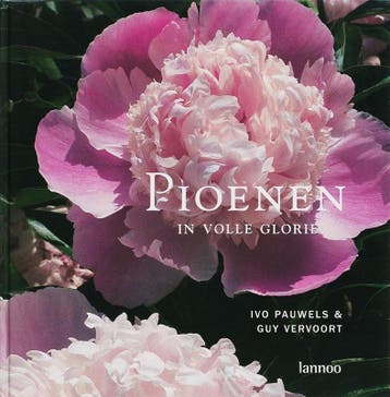 Pioenen in volle glorie 9789020965070 G. Vervoort, Boeken, Verzenden, Zo goed als nieuw, G. Vervoort