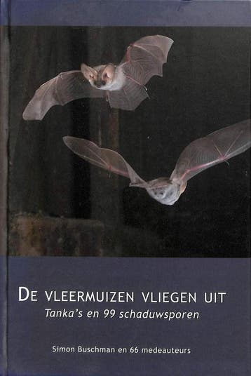 De vleermuizen vliegen uit 9789079910007 Simon Buschman, Verzenden, Zo goed als nieuw, Simon Buschman