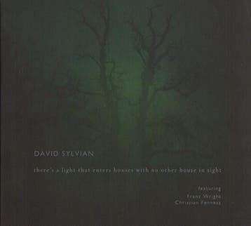 David Sylvian Featuring Franz Wright, Fennesz - Theres A, Cd's en Dvd's, Verzenden, Gebruikt