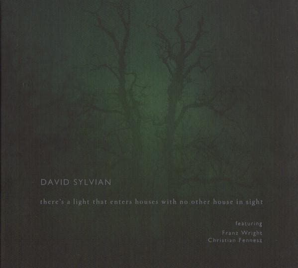 David Sylvian Featuring Franz Wright, Fennesz - Theres A, Cd's en Dvd's, Cd's | Dance en House, Gebruikt, Verzenden