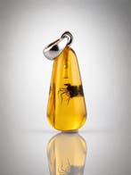 Echt Baltisch Amber Insectenhanger – Langpotige Vlieg met