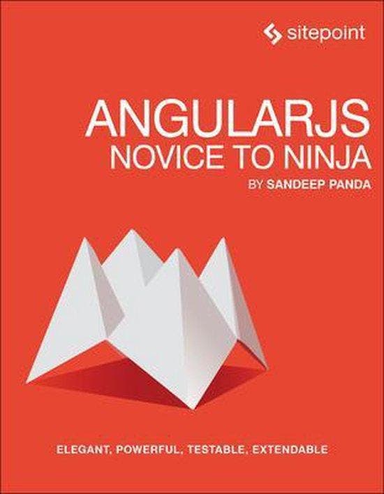 AngularJS Novice To Ninja 9780992279455 Sandeep Panda, Livres, Langue | Anglais, Envoi