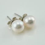 Zilver - Oorbellen - Akoya-parel, Antiek en Kunst