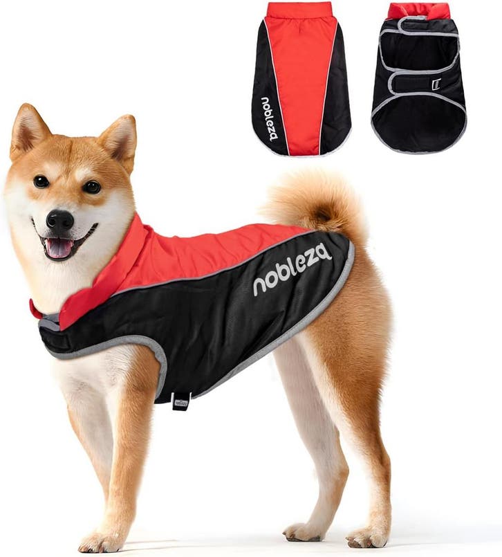 Hondenjas - Hondentrui - Winter - XL - Rood - Nobleza, Dieren en Toebehoren, Hondenkleding, Nieuw, Verzenden