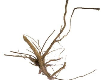 Driftwood Selected DW26 - 45x30x25cm (Small drift wood), Ophalen of Verzenden, Nieuw, Plant(en), Steen of Hout