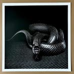 Ralph Hargarten - Black Snake