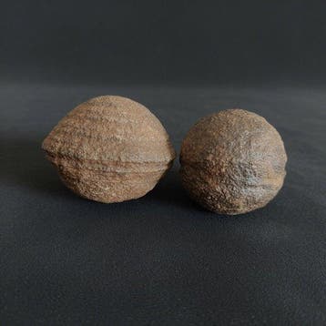 Paar Moqui-ballen of Sjamaanstenen. Verankering en balans.