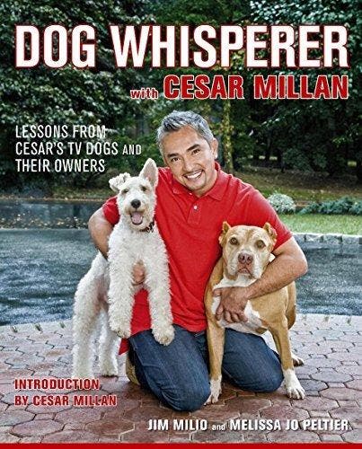 Dog Whisperer with Cesar Millan 9780340992616 Jim Milio, Boeken, Taal | Engels, Gelezen, Verzenden