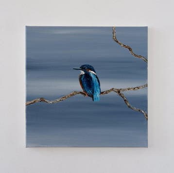 Matthieu van Riel - IJsvogel
