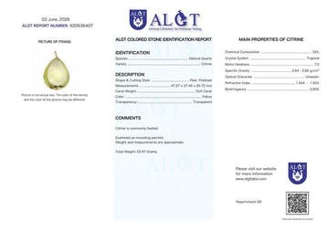 Geen reserve - ALGT-gecertificeerd - Grote en meesterlijke