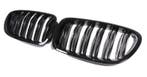 Dubbelspijls Nieren (Gril Set) BMW 5 Serie E60 E61 B2303