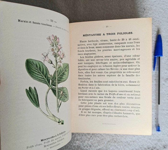 Montille / Perrin - Lot with 6 books - 1900, Antiek en Kunst, Antiek | Boeken en Manuscripten