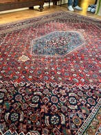 Bidjar, India - Tapijt - 248 cm - 195 cm, Nieuw